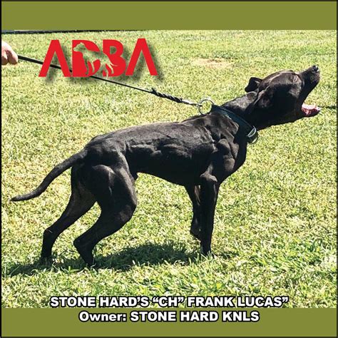 Our goal. . Iowa dog breeders association